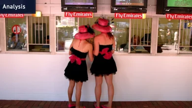 How the experts are tipping the Melbourne Cup, the best bets for the day and how to place a wager