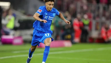 How to Watch Benfica vs Bayer Leverkusen: Live Stream UEFA Champions League, TV Channel