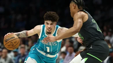 How to Watch Timberwolves vs Hornets: Live Stream NBA, TV Channel