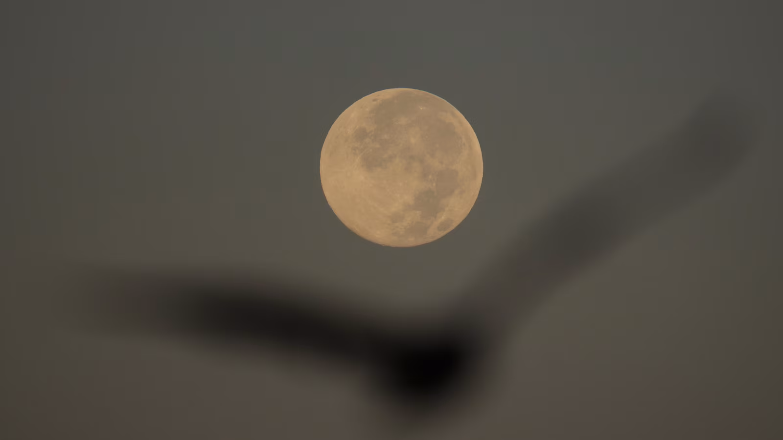 How to spot November's supermoon, the closest of the year