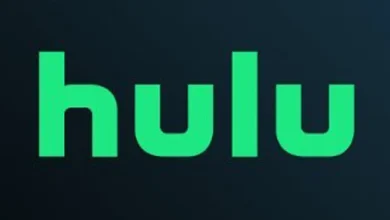 Hulu’s Recent TV Show Renewal and Cancellation Update