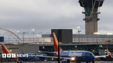Hundreds of flights cancelled in US as airlines scramble to cut traffic during shutdown