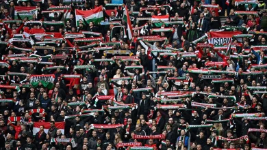 Hungarian media reaction to World Cup qualification exit: 'The Irish sang the cheese out of our mouths'