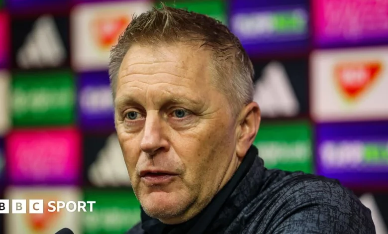 Hungary v Republic of Ireland: Hallgrimsson happy to have destiny in own hands