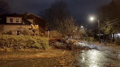 Hurricane-Force Winds Felt in Many Areas as Intense Fall Storm Batters Island