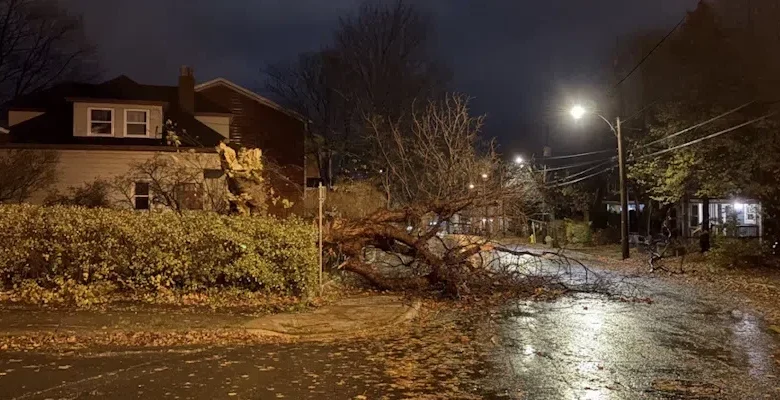Hurricane-Force Winds Felt in Many Areas as Intense Fall Storm Batters Island