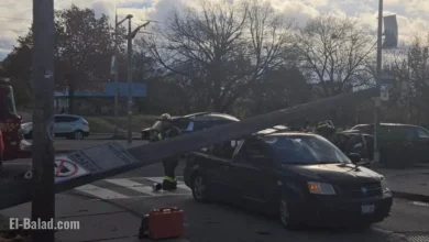 Hydro Pole Crushes Vehicle, Injures Woman in Toronto’s West End