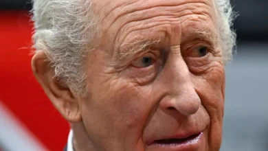 'I met King Charles at film premiere and came close to flashing my boobs at him'