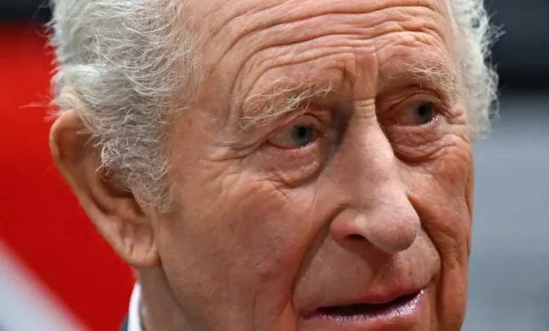 'I met King Charles at film premiere and came close to flashing my boobs at him'