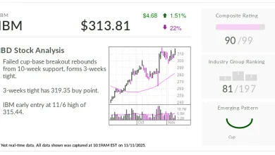 IBM, IBD Stock Of The Day, Near Buy Point Amid AI Software, Quantum Computing Push