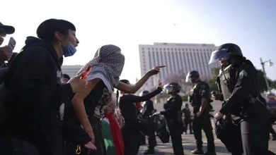 ICE Under Fire After Video Shows Man Losing Consciousness While Holding Baby