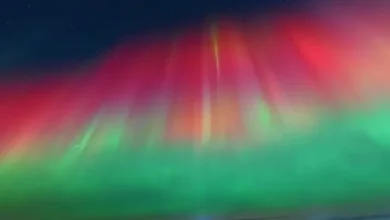 IN PHOTOS: Northern Lights shine in Canadian skies with more to come