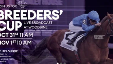 INSIDE THE NUMBERS: How To Best Bet the Breeders’ Cup Turf