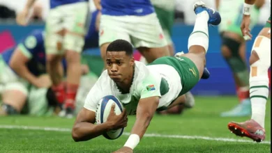ITALY VS SOUTH AFRICA Rugby LIVE Score Updates in Internationals Rugby