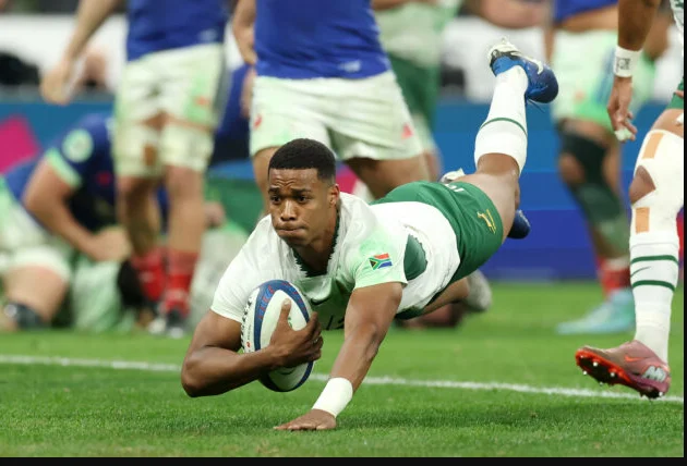 ITALY VS SOUTH AFRICA Rugby LIVE Score Updates in Internationals Rugby