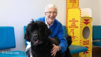 ITV Faces Backlash Over Alison Hammond’s Role After Paul O’Grady’s Passing
