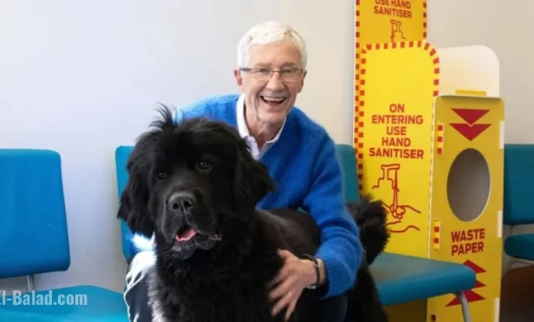 ITV Faces Backlash Over Alison Hammond’s Role After Paul O’Grady’s Passing