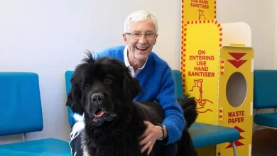 ITV made 'huge mistake' in wake of Paul O'Grady's death with Alison Hammond move