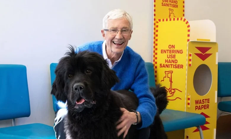 ITV made 'huge mistake' in wake of Paul O'Grady's death with Alison Hammond move