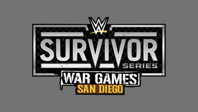 Identity Of WWE Survivor Series Masked Man Reportedly Revealed