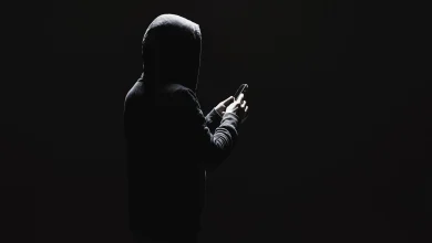 Idris Elba and his wife being stalked: what happened in London