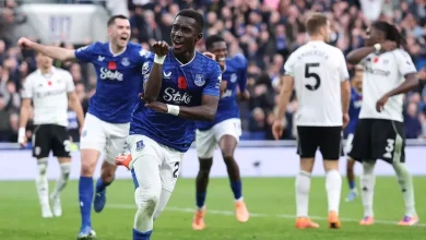 Idrissa Gueye makes Everton future hopes clear as he sends emotional message