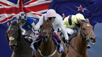 'If I could have a bet, I would stick a bit on him' - which jockey thinks his mount has the Melbourne Cup 'X factor'?