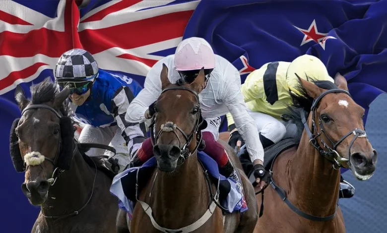 'If I could have a bet, I would stick a bit on him' - which jockey thinks his mount has the Melbourne Cup 'X factor'?