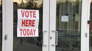 'If you want your voice heard this is the way to do it': 69 News reporter talks with voters as they cast their ballots