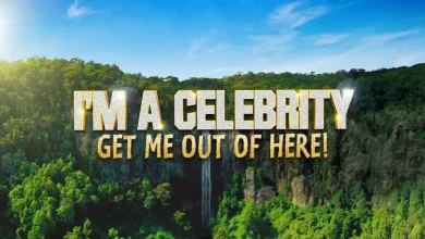 I'm A Celeb latecomer Vogue Williams breaks silence as she follows famous husband into camp