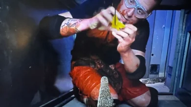 I’m A Celeb row as fans hit out at ‘cruel and distressing’ Bushtucker Trial and claim there's evidence it was ‘fixed’