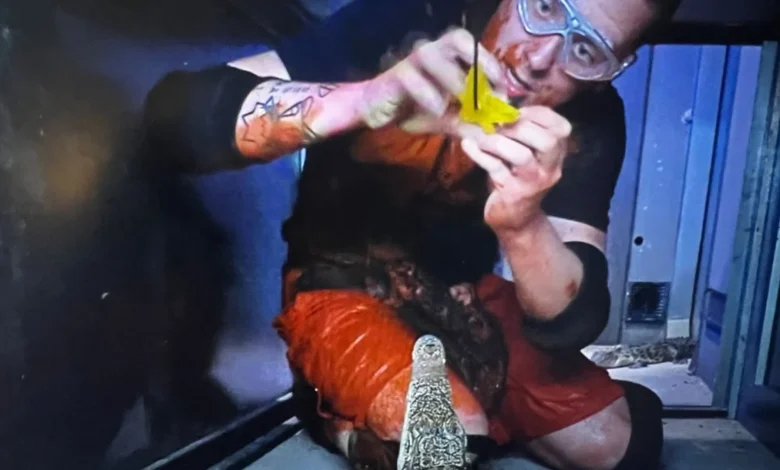 I’m A Celeb row as fans hit out at ‘cruel and distressing’ Bushtucker Trial and claim there's evidence it was ‘fixed’