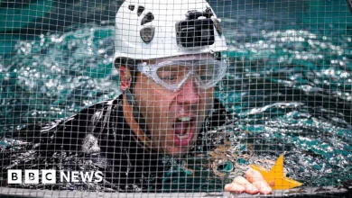 I'm A Celebrity changes rules for bushtucker trials