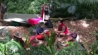 I'm A Celebrity fans say 'who would have thought' as they spot 'relationship' in jungle