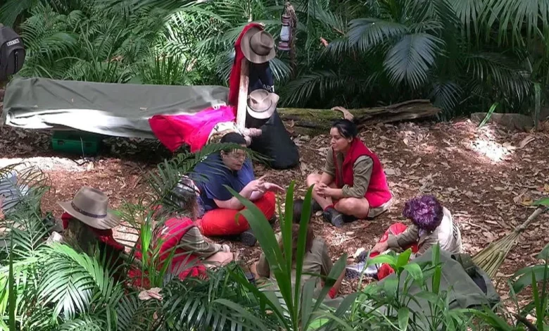 I'm A Celebrity fans say 'who would have thought' as they spot 'relationship' in jungle