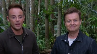I'm A Celebrity star Dec asks Ant 'what's your problem' amid ‘feud’ with ITV campmate