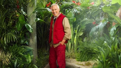 I'm A Celebrity star Martin Kemp's 80s pop band fame and famous wife