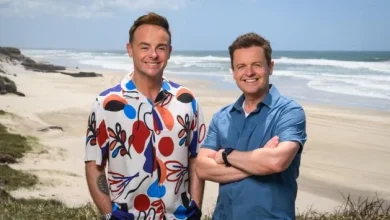 I’m A Celebrity… Get Me Out Of Here! review: No local interest for the Irish yet but the show wisely goes back to basics