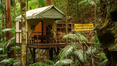 I'm A Celeb's 'hidden' luxury camp exposed - and it's set to cause chaos