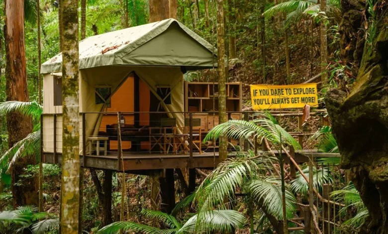 I'm A Celeb's 'hidden' luxury camp exposed - and it's set to cause chaos