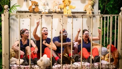 I'm a Celeb bumper finale date announced as bookies predict new king or queen