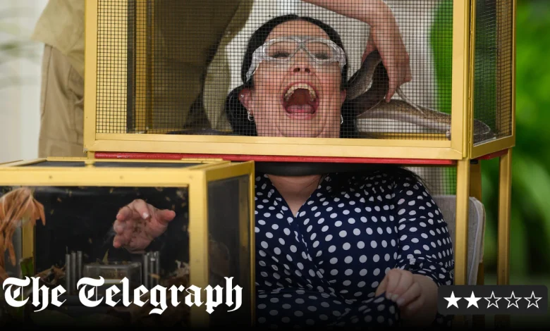 I’m a Celebrity, review: Show’s lacklustre return lands with a dull thud