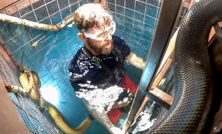 I'm a Celebrity star Jack Osbourne sparks 'stress' amongst viewers in 'scary' mission