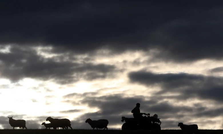'I’m going to be the first in more than 100 years to sell anything off': How the upcoming budget uncertainty is impacting young farmers