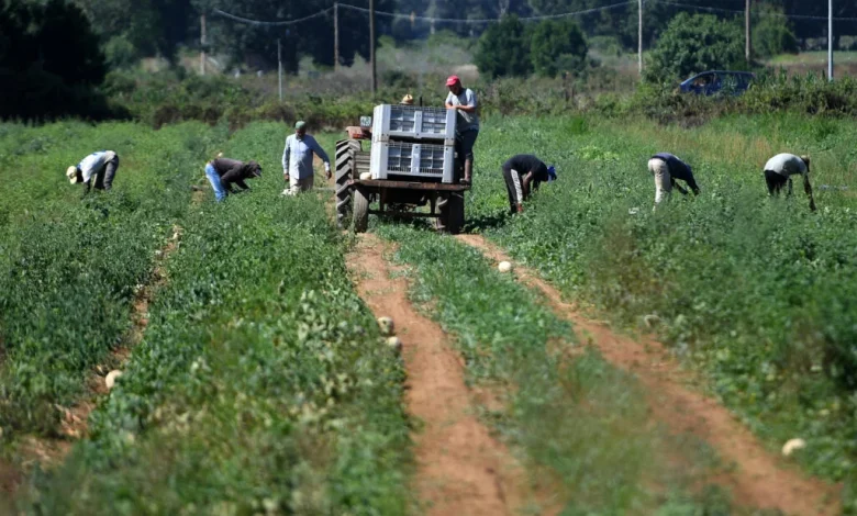 Immigrant unemployment below 10 percent across OECD countries