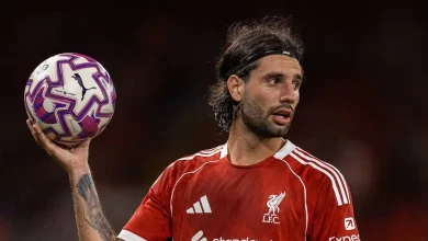 In Yerevan, fans warmly welcomed Dominik Szoboszlai and the Hungarian national team