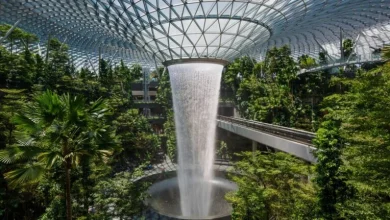 In conversation with Yvonne Bilshausen at FTE Asia