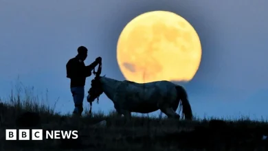 In pictures: Beaver supermoon seen around the world