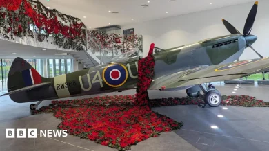 In pictures: Remembrance poppies displayed across West Midlands