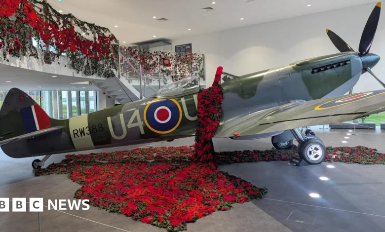 In pictures: Remembrance poppies displayed across West Midlands